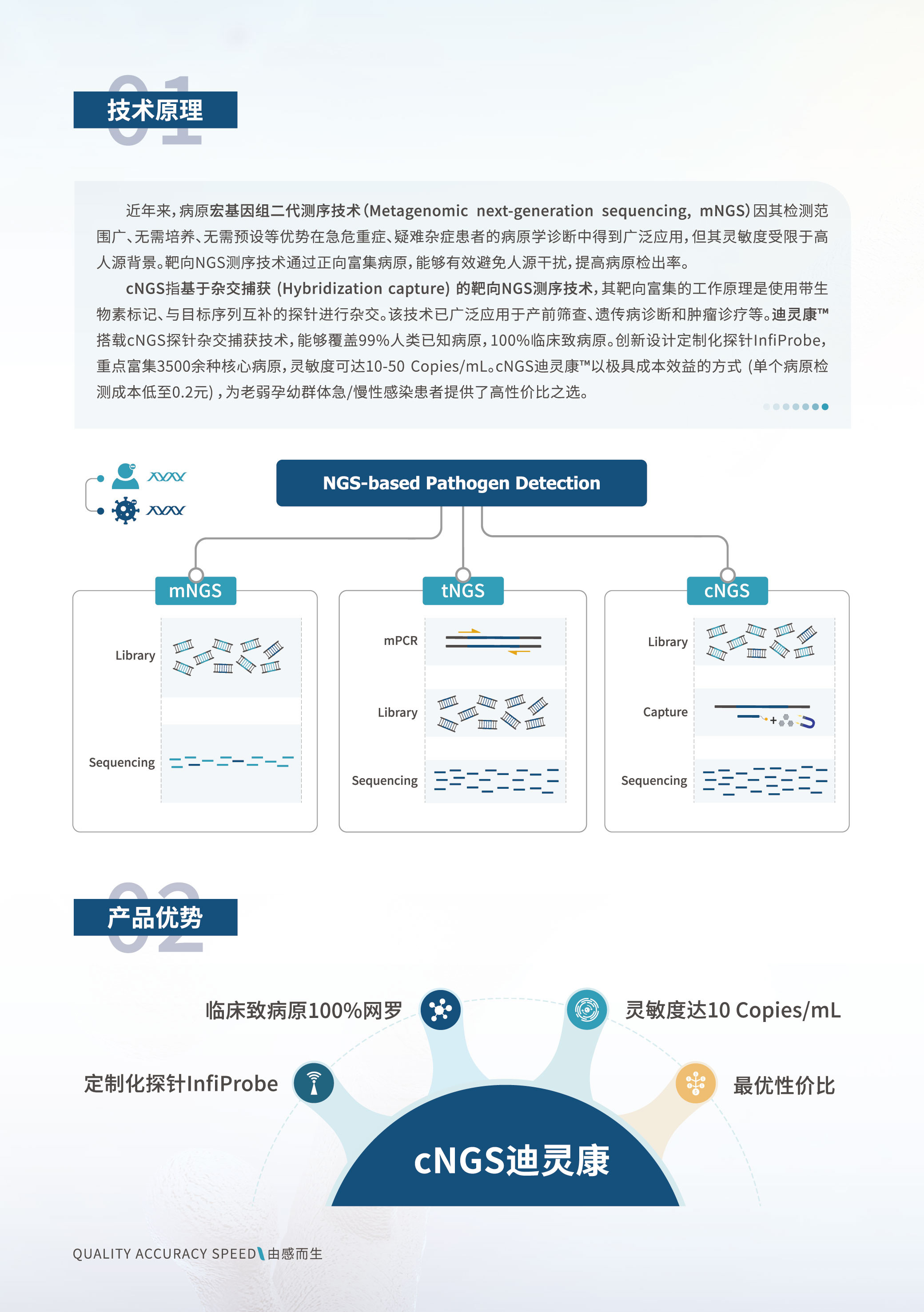 迪灵康-2