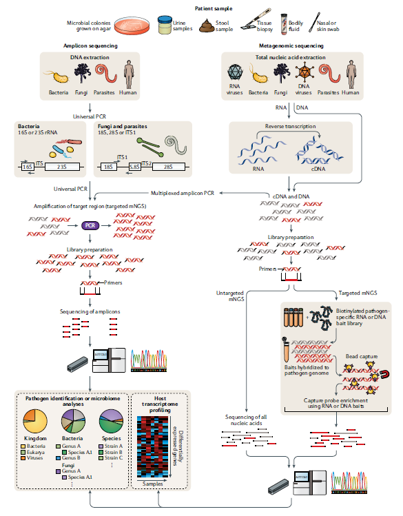 NGS process